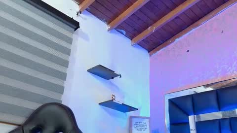 Sofia online show from 10.11.25