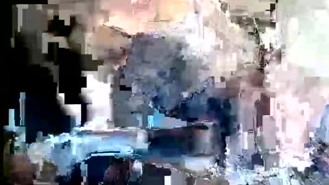 sofitax666 online show from 05.31.26