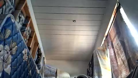 Snapshot of sohan730903 chatting on 10.01.25 sohan730903 online show from 10.01.25