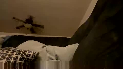 soharddr online show from 11.06.25