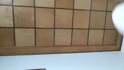 sonicegay online show from 02.02.25