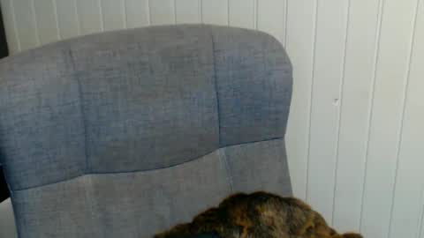 Snapshot of sonjairene chatting on 01.08.25 sonjairene online show from 01.08.25