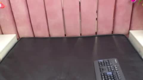 Snapshot of sophi_hardd chatting on 12.14.24 sophi_hardd online show from 12.14.24