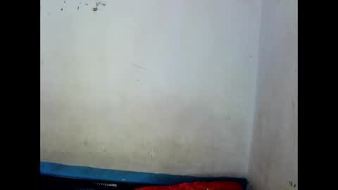 sophialaurel online show from 01.12.25