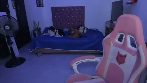 sophie doll online show from 06.25.26