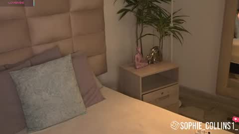 Sophie online show from 06.30.26