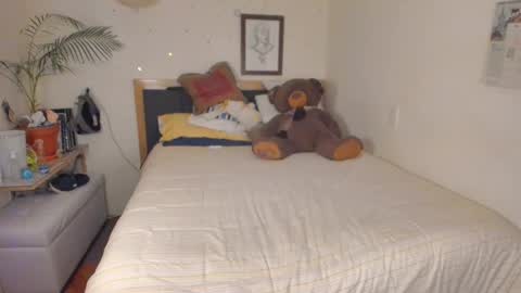 Snapshot of sophielondono21 chatting on 01.12.26 SofiTrans21 online show from 01.12.26