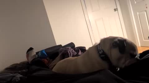 Snapshot of souls6207 chatting on 03.15.26 souls6207 online show from 03.15.26