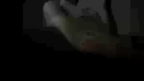 soulsurfer1985 online show from 03.11.26