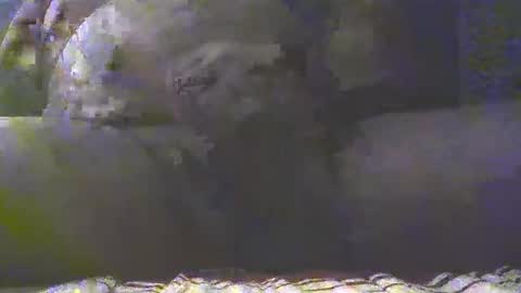 Snapshot of southgolan chatting on 03.04.25 Golan online show from 03.04.25