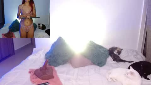      online show from 02.23.26