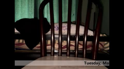 Snapshot of space_dog25 chatting on 03.03.26 space Dog25 online show from 03.03.26