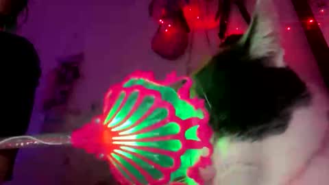 Snapshot of spacegirl42o chatting on 11.08.25 Spacegirl online show from 11.08.25