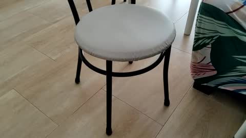 Snapshot of sparky_yena chatting on 03.02.26 Leo online show from 03.02.26