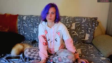 sparkyferret online show from 06.28.26