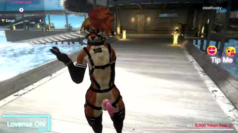 spaydewolfxxx online show from 12.01.25