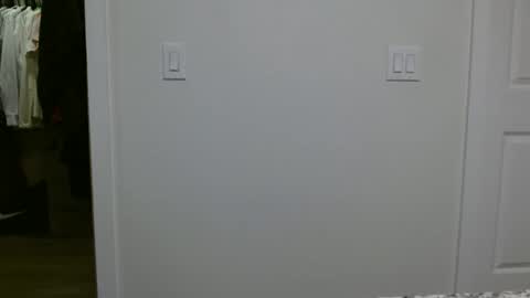 specialiest online show from 01.12.26