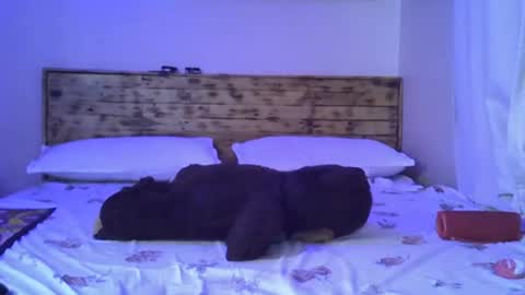 Splasher online show from 10.25.25