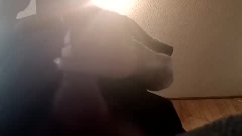 spundsrt online show from 02.24.25