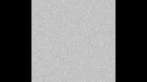 Srta. Fox online show from 01.23.25