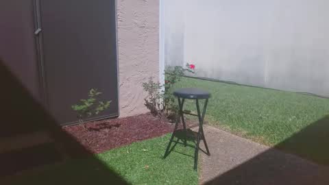 srtxshow online show from 03.14.26