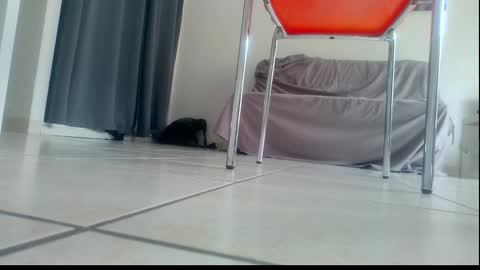 Snapshot of ssenzo chatting on 12.21.25 ssenzo online show from 12.21.25