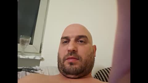 sta13 online show from 12.12.24