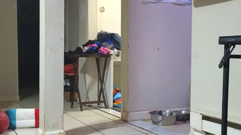 Snapshot of stacytasteme chatting on 01.29.25 Submissive Slut LOVES adoration online show from 01.29.25