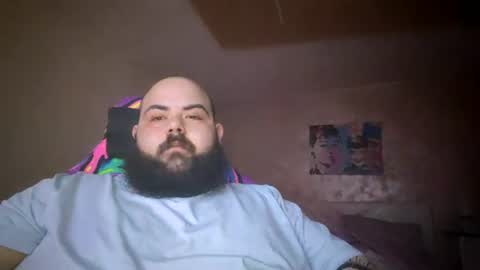 stallion_bear online show from 07.04.26