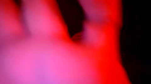 stallion_bear online show from 07.05.26