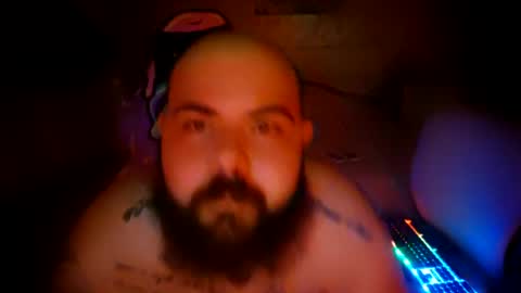 stallion_bear online show from 07.07.26