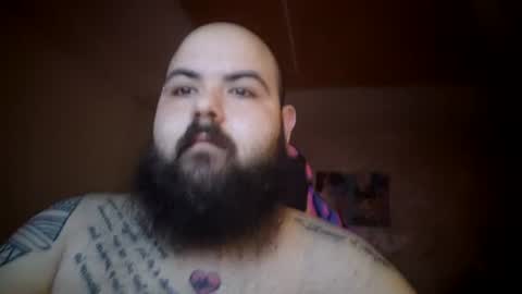 stallion_bear online show from 07.08.26
