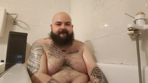stallion_bear online show from 07.09.26