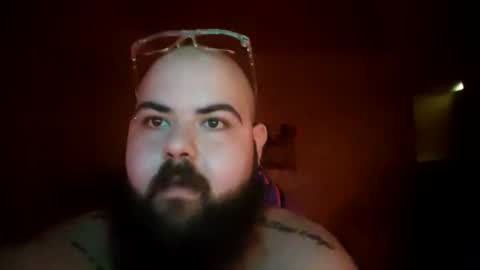 stallion_bear online show from 07.09.26