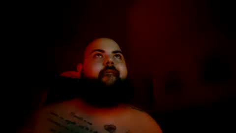 stallion_bear online show from 08.04.26