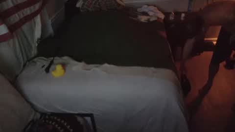 Snapshot of staloney21 chatting on 02.15.26 staloney online show from 02.15.26