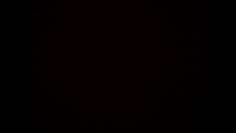 Snapshot of stanlaurel60 chatting on 02.15.25 Stan online show from 02.15.25