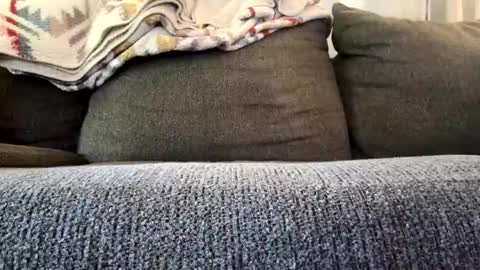 starr3095 online show from 11.04.25