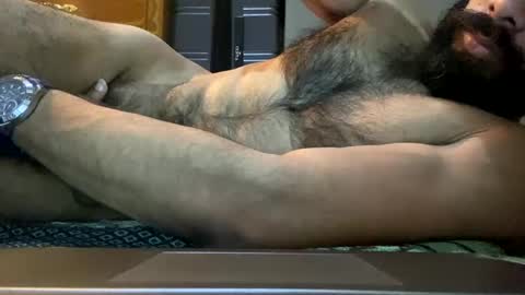 Lobo del Antiguo Oriente online show from 04.16.26