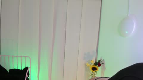 Steffy online show from 01.06.25