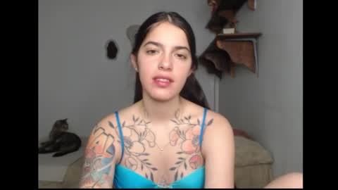 Snapshot of stella_art chatting on 02.13.26 Stella online show from 02.13.26