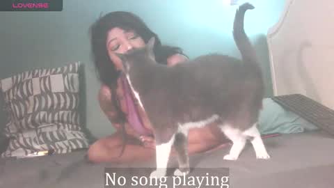 Stella Clitella online show from 10.03.25