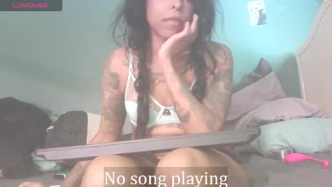 Stella Clitella online show from 11.22.25