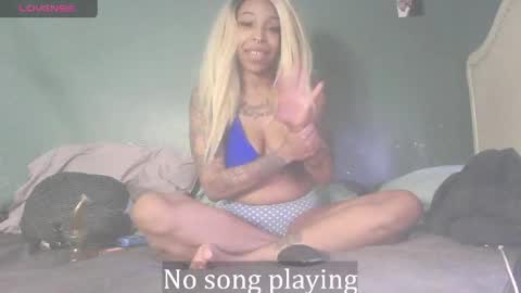 Stella Clitella online show from 04.11.26