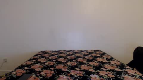 Stella John online show from 02.16.26