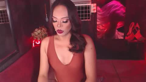 stella online show from 02.23.26