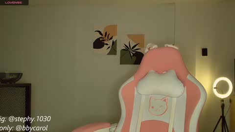 Snapshot of steph_y1030 chatting on 01.05.25 stephany online show from 01.05.25