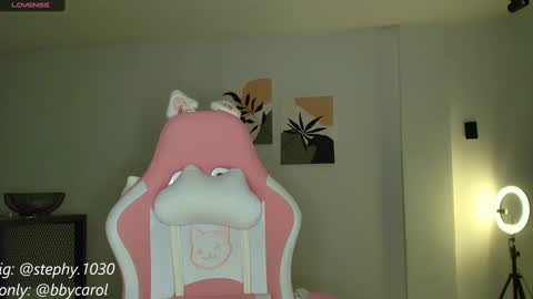 Snapshot of steph_y1030 chatting on 01.16.25 stephany online show from 01.16.25