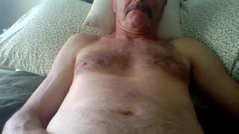 steviehard8 online show from 07.29.26