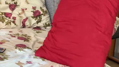 Chris online show from 09.15.25